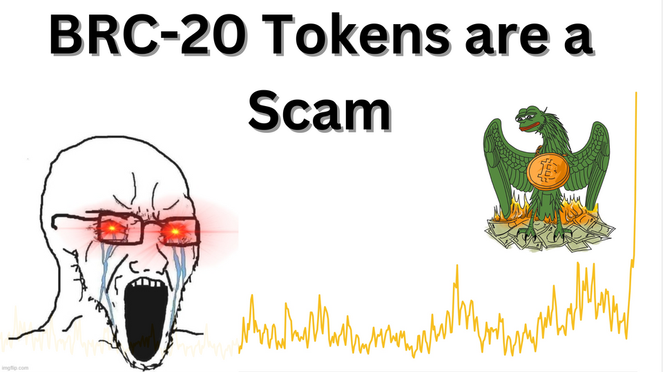 BRC-20 Tokens are a Scam